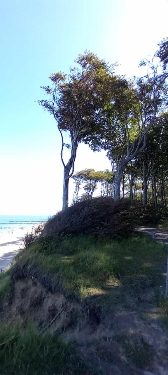 Familienurlaub Mit Hund An Der Ostsee Admannshagen-Bargeshagen Exteriör bild