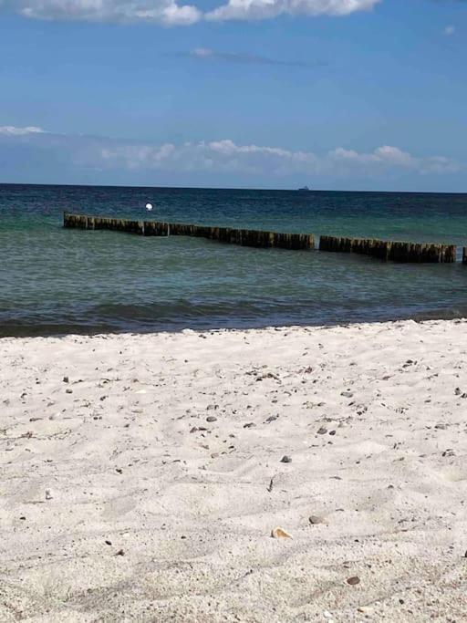 Familienurlaub Mit Hund An Der Ostsee Admannshagen-Bargeshagen Exteriör bild
